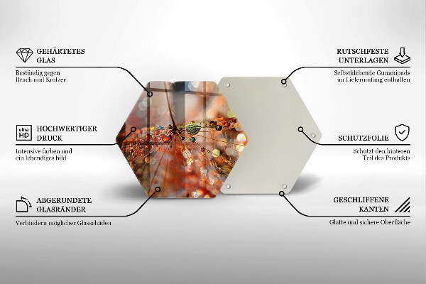 Deska szklana do kuchni Mokry dmuchawiec