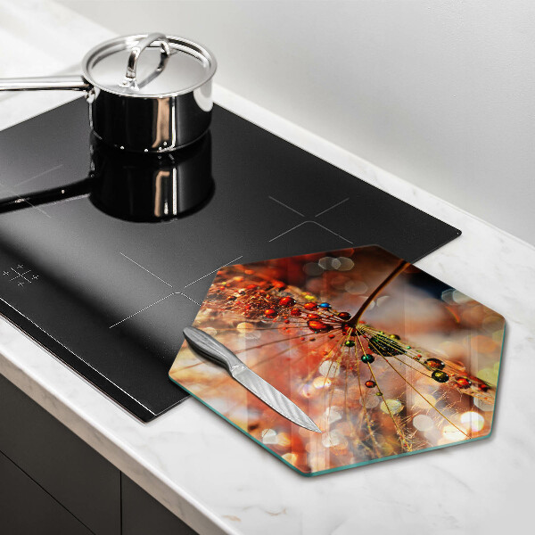 Deska szklana do kuchni Mokry dmuchawiec