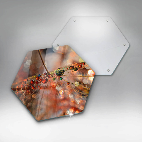 Deska szklana do kuchni Mokry dmuchawiec