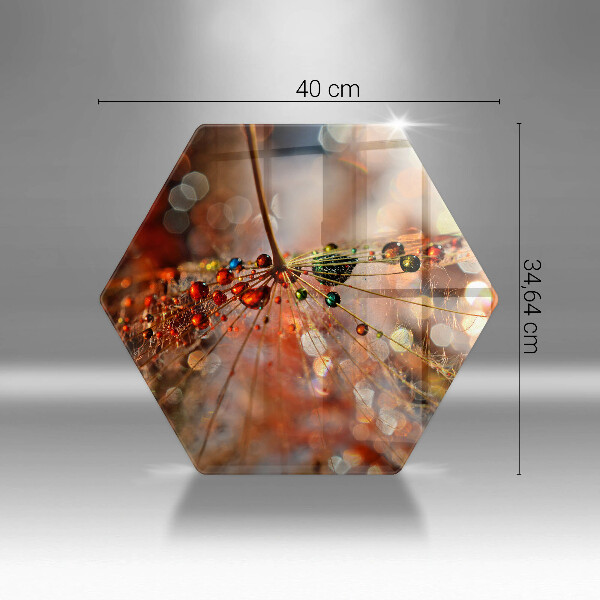 Deska szklana do kuchni Mokry dmuchawiec