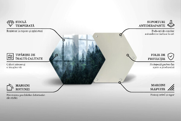 Deska szklana do kuchni Las drzewa i mgła