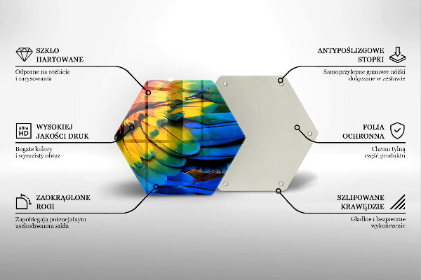 Deska szklana do kuchni Barwne pióra papugi