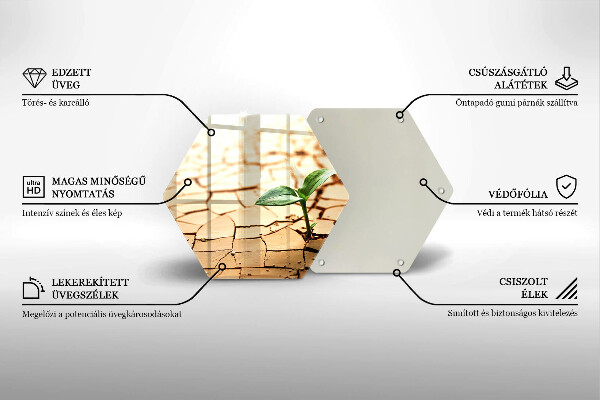 Deska szklana do kuchni Samotna roślina