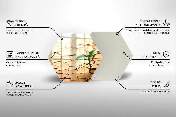 Deska szklana do kuchni Samotna roślina