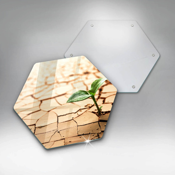 Deska szklana do kuchni Samotna roślina