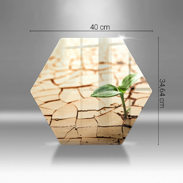 Deska szklana do kuchni Samotna roślina