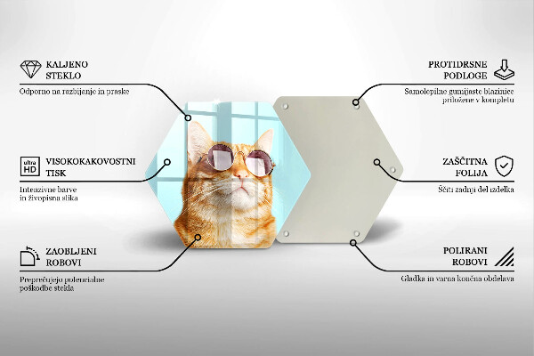 Deska szklana do kuchni Rudy kot w okularach