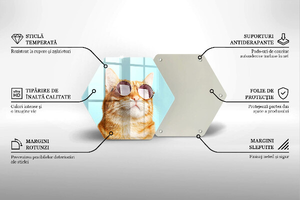 Deska szklana do kuchni Rudy kot w okularach