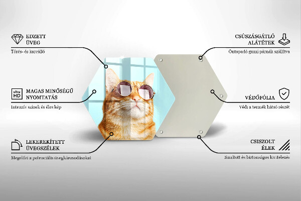 Deska szklana do kuchni Rudy kot w okularach