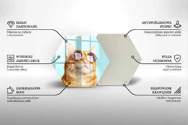 Deska szklana do kuchni Rudy kot w okularach