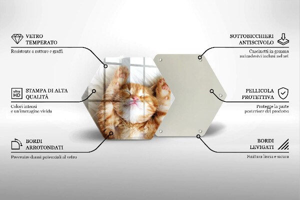 Deska szklana do kuchni Mały słodki kotek