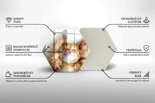 Deska szklana do kuchni Mały słodki kotek