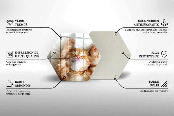 Deska szklana do kuchni Mały słodki kotek