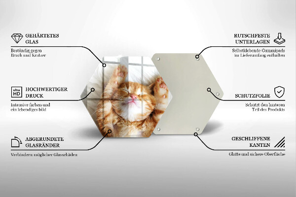 Deska szklana do kuchni Mały słodki kotek