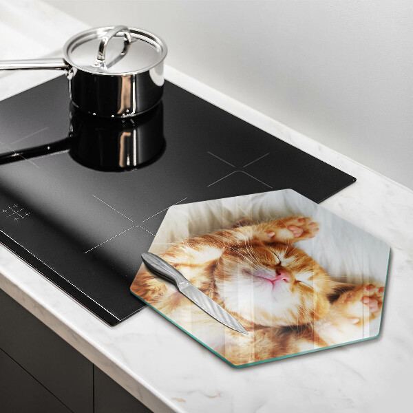 Deska szklana do kuchni Mały słodki kotek