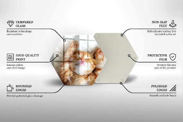 Deska szklana do kuchni Mały słodki kotek