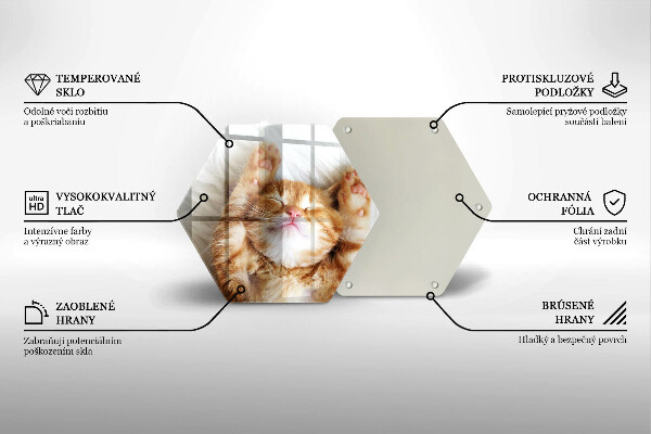 Deska szklana do kuchni Mały słodki kotek