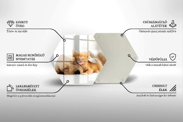 Deska szklana do kuchni Zwierzęta pies i kot