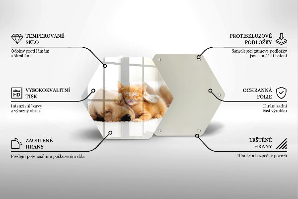 Deska szklana do kuchni Zwierzęta pies i kot