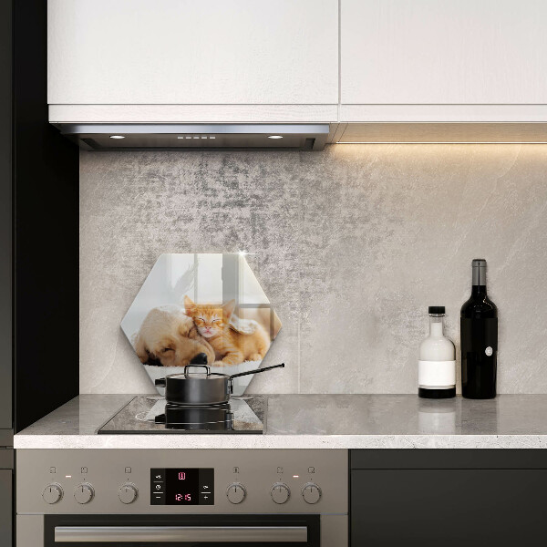 Deska szklana do kuchni Zwierzęta pies i kot