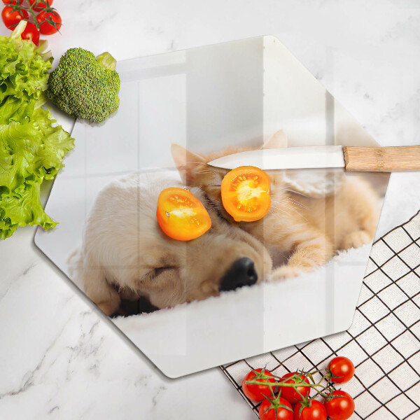 Deska szklana do kuchni Zwierzęta pies i kot