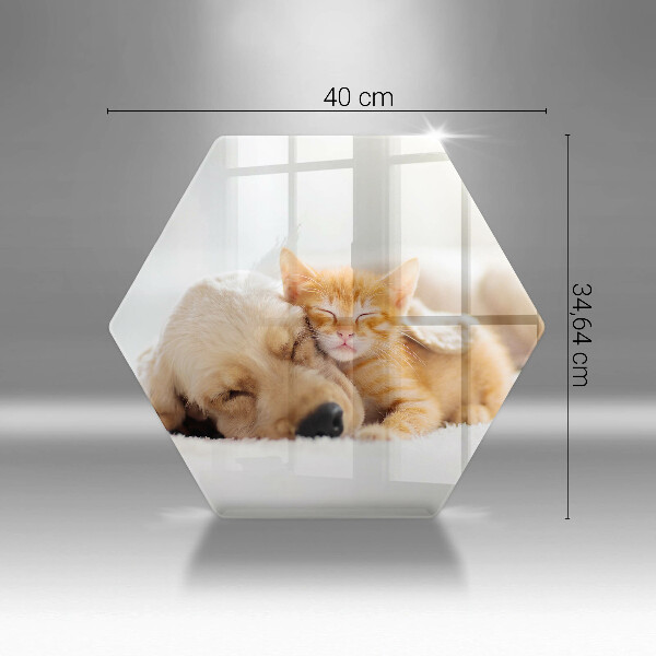 Deska szklana do kuchni Zwierzęta pies i kot