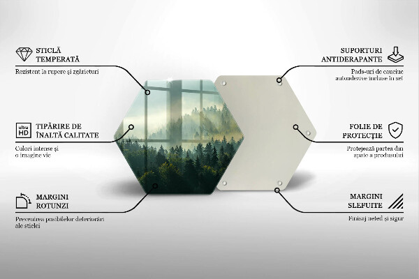 Deska szklana do kuchni Pejzaż Widok na las