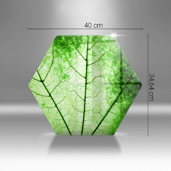 Deska szklana do kuchni Liść ozdobny żyłki