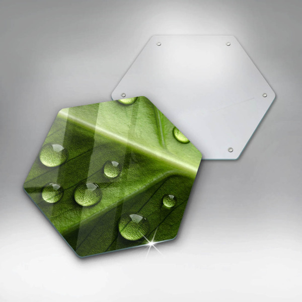 Deska szklana do kuchni Natura rosa i liść