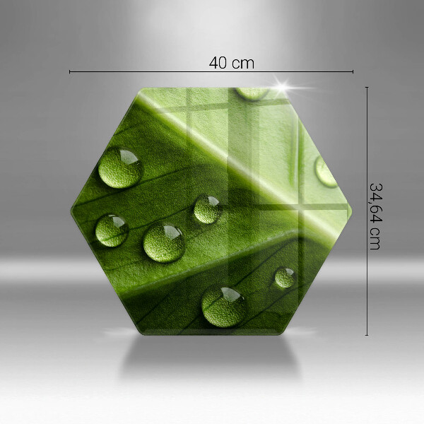 Deska szklana do kuchni Natura rosa i liść