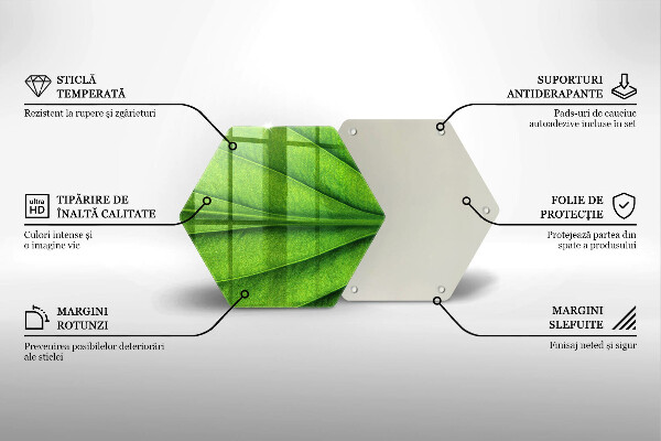 Deska szklana do kuchni Liść żyłki natura