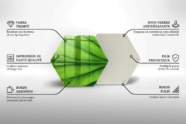 Deska szklana do kuchni Liść żyłki natura