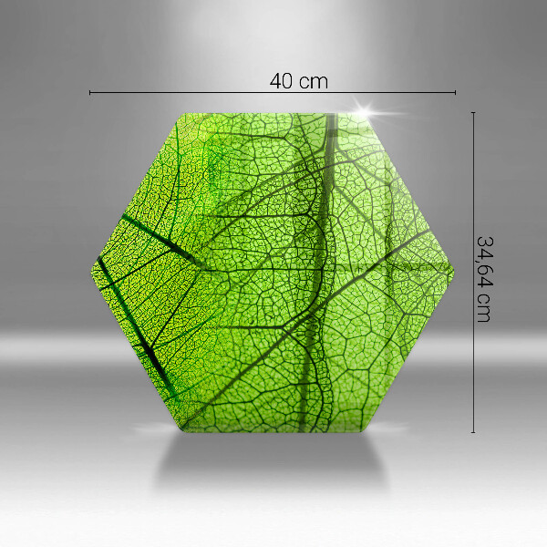 Deska szklana do kuchni Żyłki liści natura