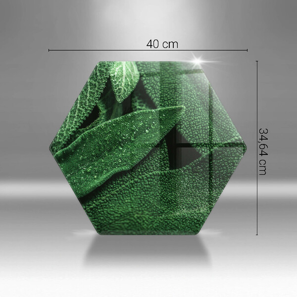 Deska szklana do kuchni Liście rośliny