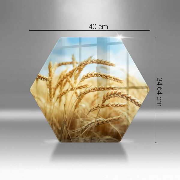 Deska szklana do kuchni Kłosy zbóż na polu