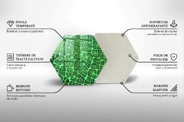 Deska kuchenna Struktura liścia