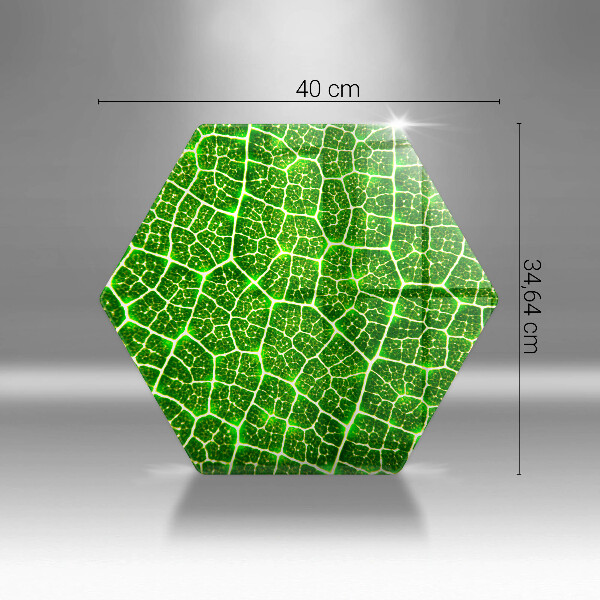 Deska kuchenna Struktura liścia