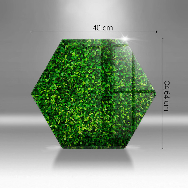 Deska szklana do kuchni Roślina małe listki