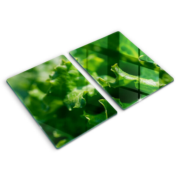 Osłona ściany przy kuchence gazowej Liście sałaty