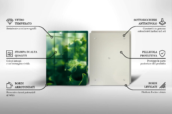 Osłona ściany przy kuchence gazowej Liście sałaty