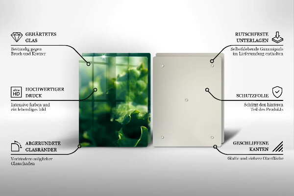 Osłona ściany przy kuchence gazowej Liście sałaty