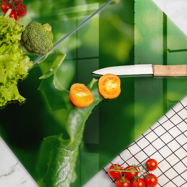 Osłona ściany przy kuchence gazowej Liście sałaty