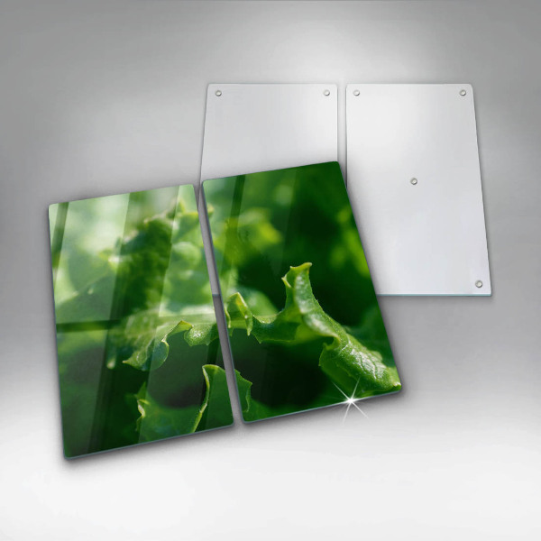 Osłona ściany przy kuchence gazowej Liście sałaty