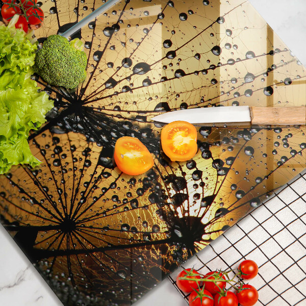 Osłona ściany przy kuchence gazowej Rosa i dmuchawce