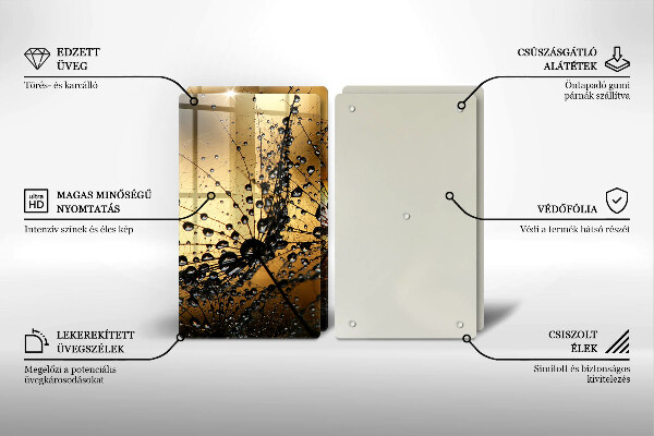 Osłona ściany przy kuchence gazowej Rosa i dmuchawce