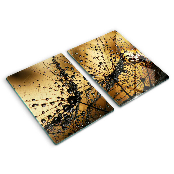 Osłona ściany przy kuchence gazowej Rosa i dmuchawce