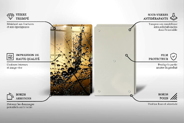 Osłona ściany przy kuchence gazowej Rosa i dmuchawce