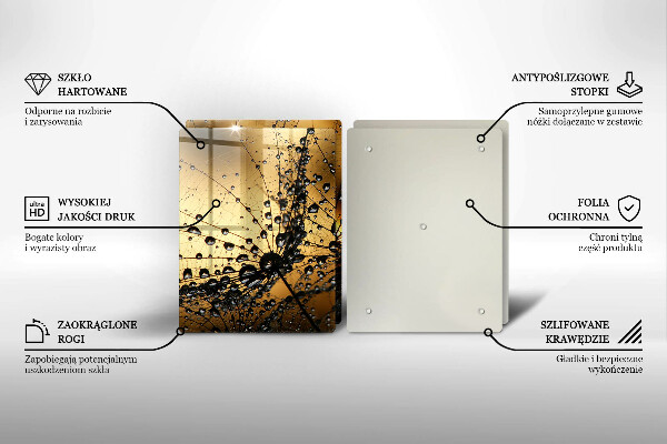 Osłona ściany przy kuchence gazowej Rosa i dmuchawce