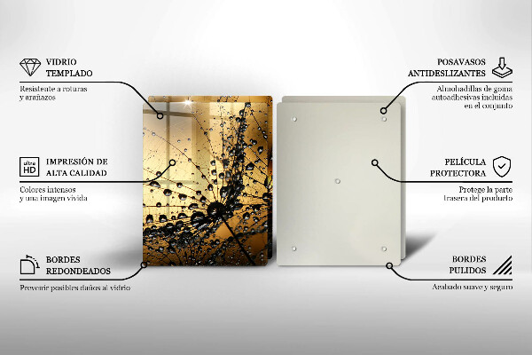 Osłona ściany przy kuchence gazowej Rosa i dmuchawce