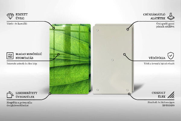 Osłona ściany przy kuchence gazowej Liść żyłki natura